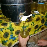 Lattemiele Fontanellato