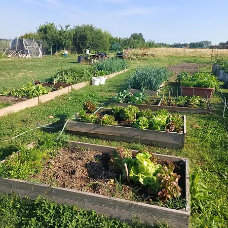 Lattemiele ベッド・アンド・ブレックファスト