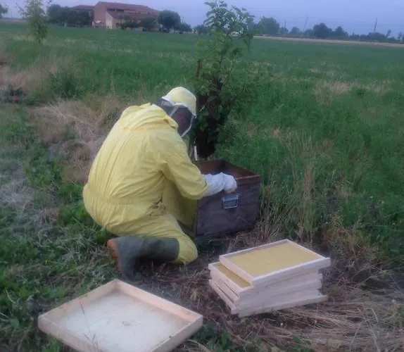 Lattemiele フォンタネッラート