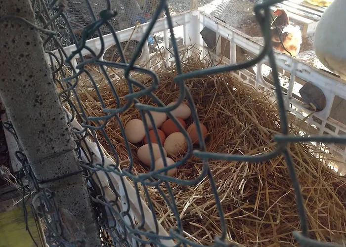 Lattemiele ベッド・アンド・ブレックファスト 3*