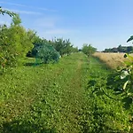 Lattemiele Panzió 3*