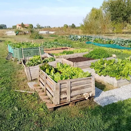 לינה וארוחת בוקר Lattemiele