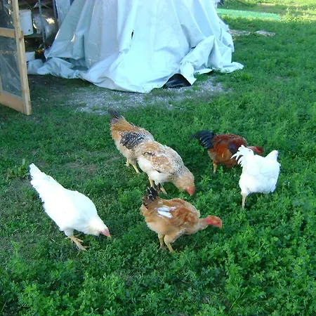 Lattemiele 3* פוטנלאטו