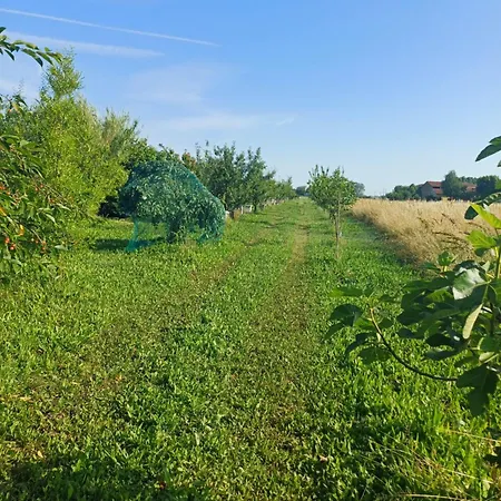 Lattemiele לינה וארוחת בוקר 3*