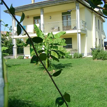 Lattemiele *