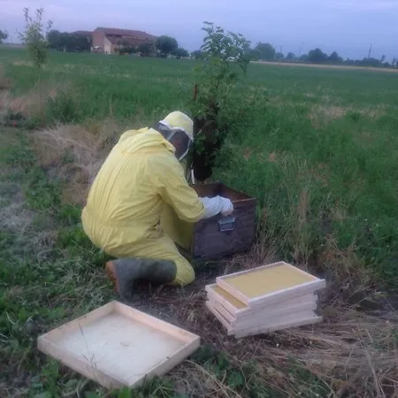 Lattemiele Fontanellato