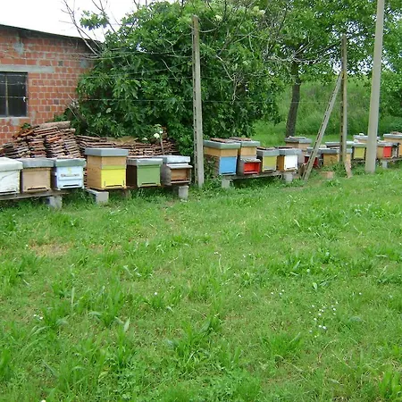 Lattemiele Bed & Breakfast 3*