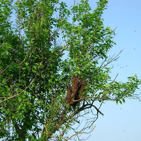 住宿加早餐酒店 拉特米勒b＆b住宿加早餐酒店 丰塔内拉托