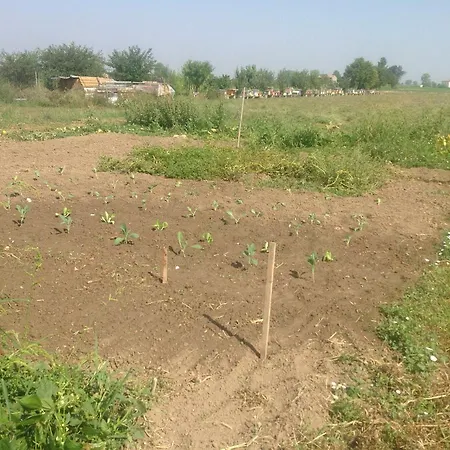 Lattemiele Отель типа 