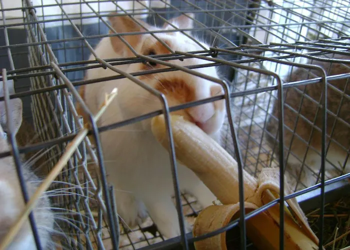 Lattemiele Panzió Fontanellato