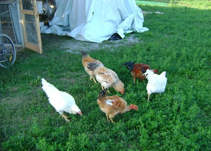 Lattemiele 3* Fontanellato