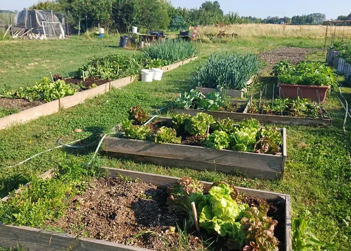 Lattemiele Couette-café