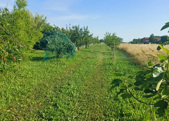 Lattemiele Panzió 3*