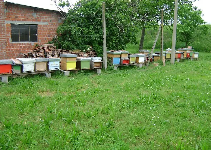 Lattemiele Panzió 3*