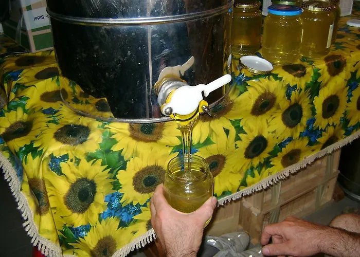 Lattemiele Fontanellato